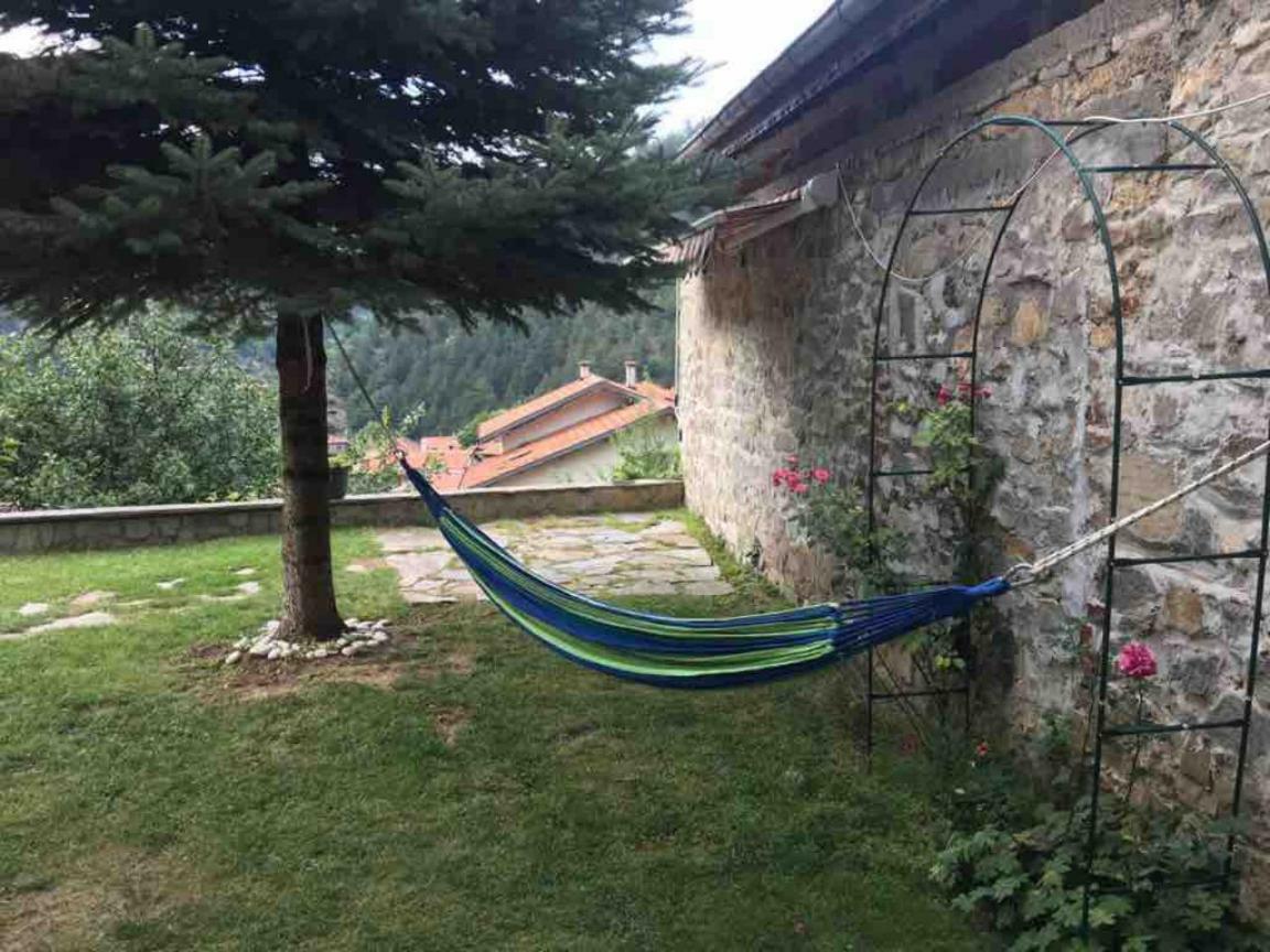 Ambrozia Spa And Relax Family House Бачково Экстерьер фото